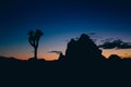 Joshua Tree National Park After Sunset Royalty Free Stock Photo