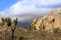 Joshua Tree National Park with threatening thunderclouds rolling in
