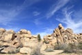 Joshua tree national park