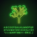Joshua tree neon light icon