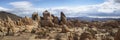 Joshua Tree Panorama