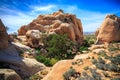 Joshua Tree Rock Formations, Joshua Tree National Park, California Royalty Free Stock Photo