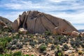 Joshua Tree Rock Formations, Joshua Tree National Park, California Royalty Free Stock Photo