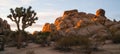 Joshua Tree Sunrise Cloud Landscape California National Park Royalty Free Stock Photo