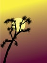 Joshua Tree at Sunset Illustration