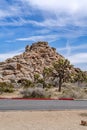 Joshua trees and amazing mountain of rocks in Joshua Tree California desert Royalty Free Stock Photo