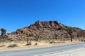 Joshua trees in front of mountainous rock along the roadside at Joshua Tree National Park Royalty Free Stock Photo