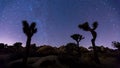 Joshua trees night timelapse