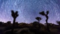 Joshua trees night timelapse