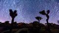 Joshua trees night timelapse