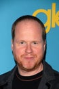 Joss Whedon Royalty Free Stock Photo