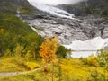 Jostedal National Park Glacier Norway Royalty Free Stock Photo