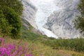 Jostedalsbreen Royalty Free Stock Photo