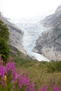 Jostedalsbreen Royalty Free Stock Photo