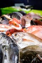 Many fish in the fishmarket Royalty Free Stock Photo