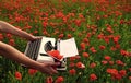 Journalism and writing summer. Opium poppy, agile business, ecology. Royalty Free Stock Photo