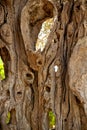 A journey across the Sicilian island Royalty Free Stock Photo