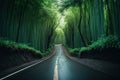 Journey through the Bamboo Mountains: A Road Trip Adventure Royalty Free Stock Photo