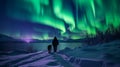 Journey Beneath the Aurora: Solo Traveler and Sled Dogs in the Arctic Royalty Free Stock Photo