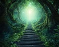 Embark on a Transformative Spiritual Journey A Glowing Forest Trail, Mystical Steps Leading to a Distant, Radiant Light,