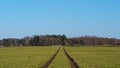 Journey Through Latvian Fields: Tire Imprints Amidst Crops