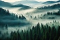 Journey through a magical forest with an endless array of trees shrouded in a mysterious fog, Thick fog covering a dense
