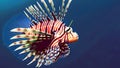 Intriguing Beauty: Lionfish in the Coral Kingdom