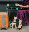 Journey mood street cafe coffee. globe trotter thirst for trip theme. Travel with pet Royalty Free Stock Photo