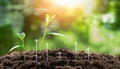 The Journey of Plant Growth: Infographic Exploring Sprouting, Planting, and Nature\'s Flourishing AI-Generated Design