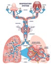 Journey through respiratory system with process explanation outline diagram