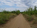 Journey through Russia.The Surroundings Of Orenburg.