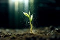 The Journey of a Seed: From Germination to Plant, Generative AI