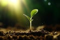 The Journey of a Seed: From Germination to Plant, Generative AI