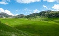 The color of the green meadows on the high mountains