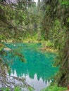 Journey to the Dolomites, Northern Italy, Carezza Lake Royalty Free Stock Photo