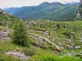 Journey to the Dolomites, Northern Italy Royalty Free Stock Photo