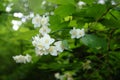 Journey to the reserve. Wonders of the June forest. Nature woke up.