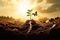 journey transformation variations a seed growing into a tree a c Royalty Free Stock Photo