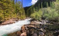 Journey through the wild nature of the Altai.