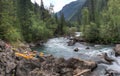 Journey through the wild nature of the Altai. Coniferous forests and the valley of the mountain river Bashkaus. Summer landscape