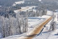 The journey in the winter forest