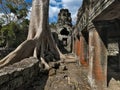 Journeying Through Banteay Kdei Sacred Trees and Grounds in Angkor Wat, Siem Reap, Cambodia