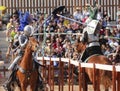 A Joust Tournament at the Arizona Renaissance Festival Royalty Free Stock Photo