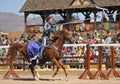 A Joust Tournament at the Arizona Renaissance Festival Royalty Free Stock Photo