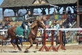 A Joust Tournament at the Arizona Renaissance Festival Royalty Free Stock Photo