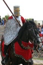 Jouster Royalty Free Stock Photo