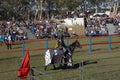 Jouster at medieval jousting tournament