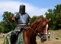 Jouster requesting his sword