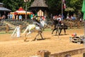 Jousting Demonstration Renaissance Festival MD