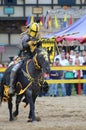 Jousting knight in armor Royalty Free Stock Photo